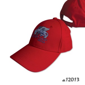 Long visor baseball cap with fancy embroidery detail